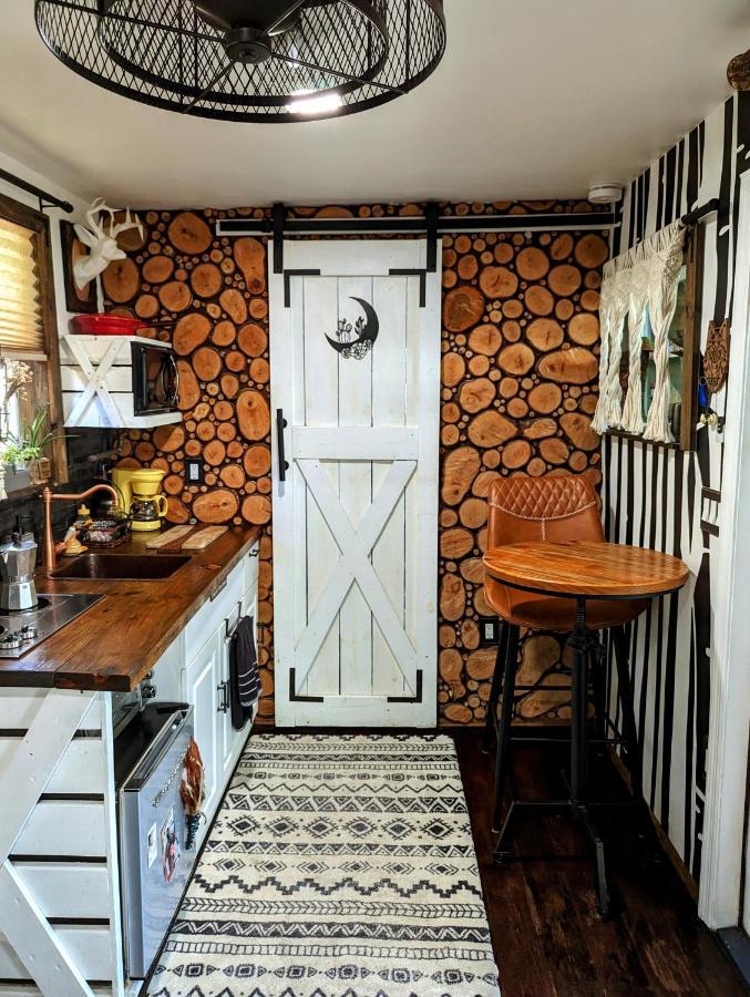 הוילה טאמפה Cozy Af Tiny-House Oasis מראה חיצוני תמונה