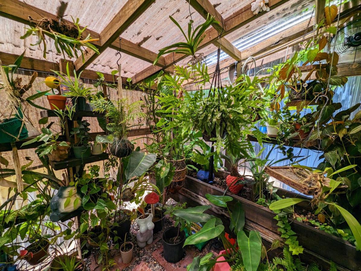 הוילה טאמפה Cozy Af Tiny-House Oasis מראה חיצוני תמונה