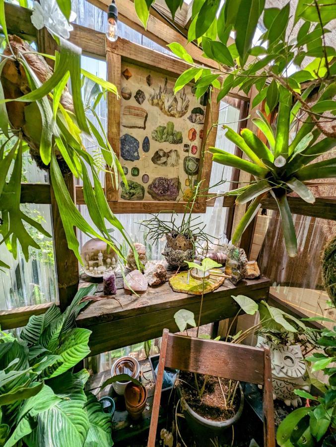 הוילה טאמפה Cozy Af Tiny-House Oasis מראה חיצוני תמונה