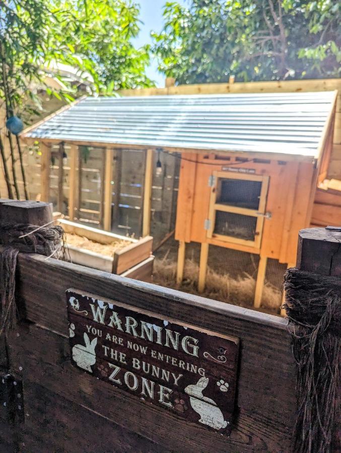 הוילה טאמפה Cozy Af Tiny-House Oasis מראה חיצוני תמונה