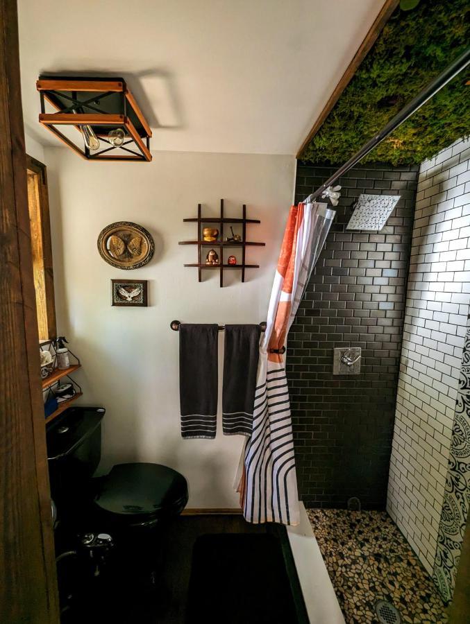 הוילה טאמפה Cozy Af Tiny-House Oasis מראה חיצוני תמונה