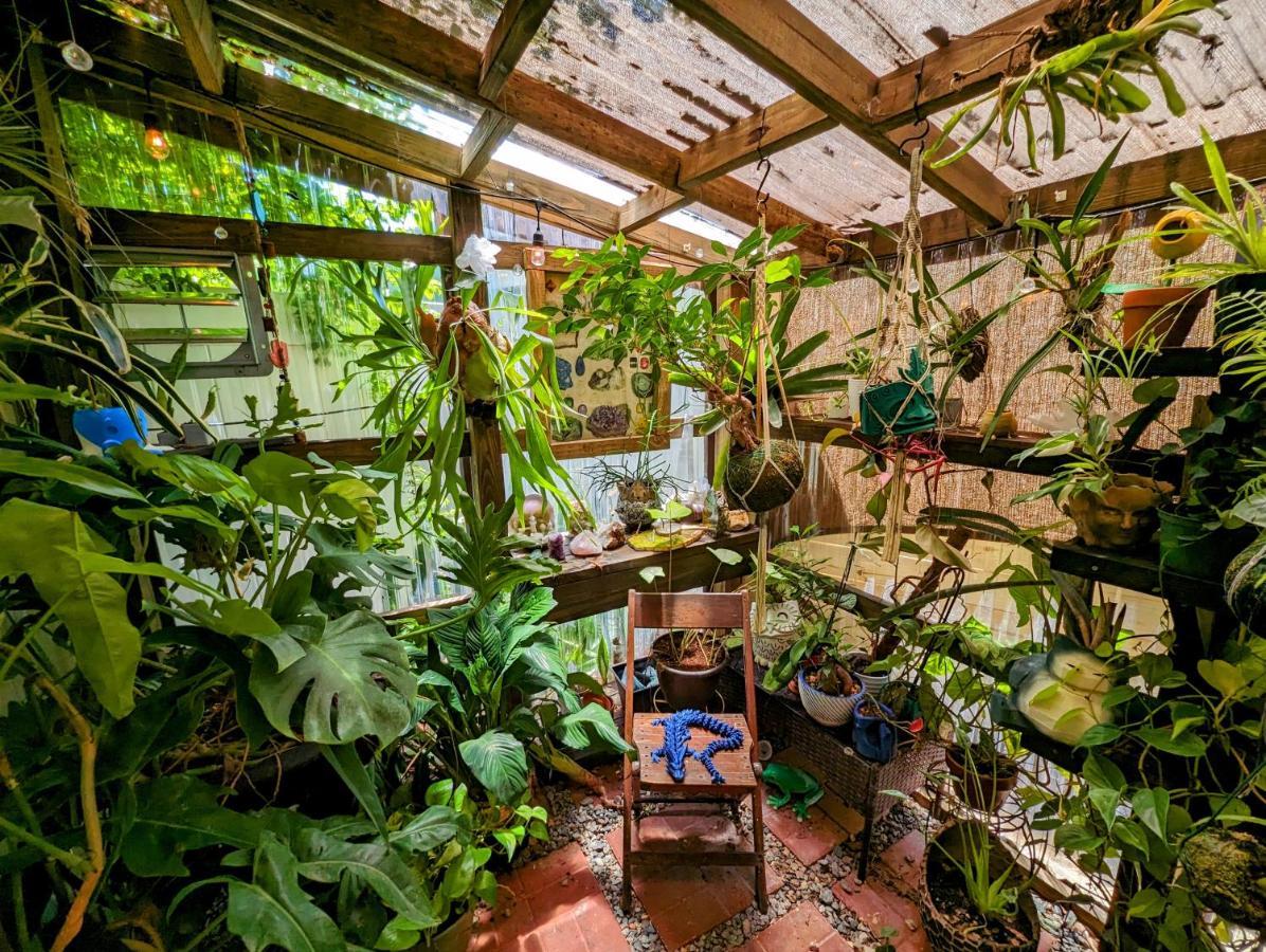 הוילה טאמפה Cozy Af Tiny-House Oasis מראה חיצוני תמונה